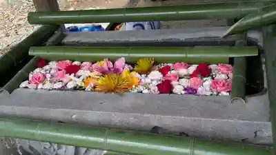 水無瀬神宮(大阪府)