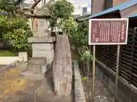 熊の森権現(神奈川県)