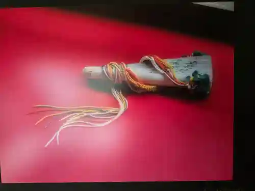 隨心院（随心院）(京都府)