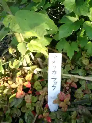 長谷寺のその他建物