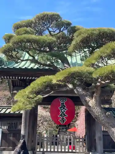長谷寺の{uncategorized: "未分類", other: "その他", undefined: "問題あり", building: "その他建物", grave: "お墓", sacred_gate: "鳥居", guardian: "狛犬", statue: "像", buddha: "仏像", history: "歴史", nature: "自然", garden: "庭園", animal: "動物", pagoda: "塔", temizu: "手水舎", mountain_gate: "山門・神門", sanctuary: "本殿・本堂", subordinate: "末社・摂社", art: "芸術", scenery: "景色", jizo: "地蔵", ema: "絵馬", goshuin: "御朱印", omikuji: "おみくじ", items: "授与品その他", amulet: "お守り", goshuincho: "御朱印帳", eats: "食事", festival: "お祭り", votive_dance: "神楽", shichigosan: "七五三参", wedding: "結婚式", experience: "体験その他", initially: "初詣", around: "周辺", anti_infection: "感染症対策"}