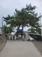 瀧姫神社(愛媛県)