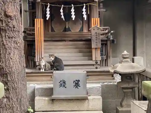小野照崎神社の動物