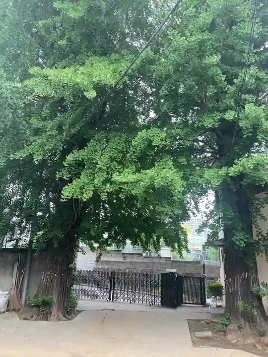 延命院(東京都)