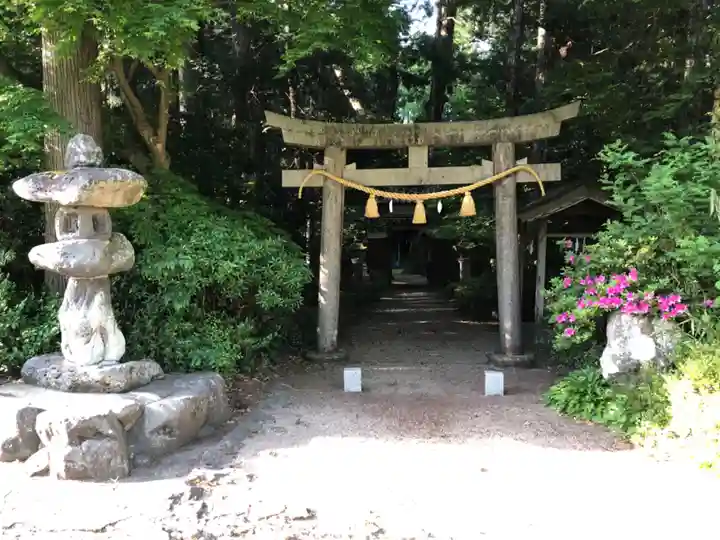 戸神社の鳥居