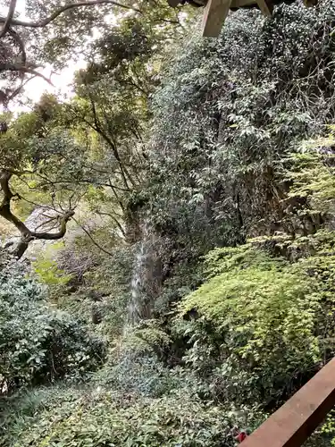 清水寺(岐阜県)