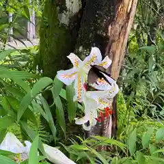 古峯神社の自然