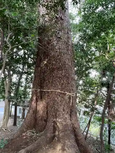 氷川女體神社の自然