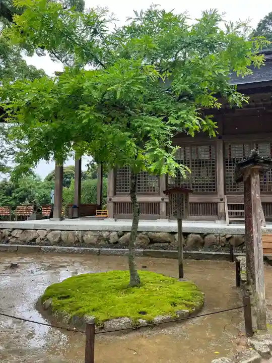 宝満宮竈門神社(福岡県)