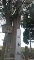 白鬚神社のその他建物