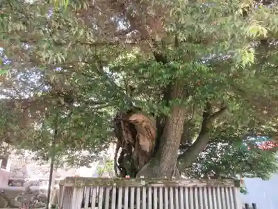 勝尾寺(大阪府)