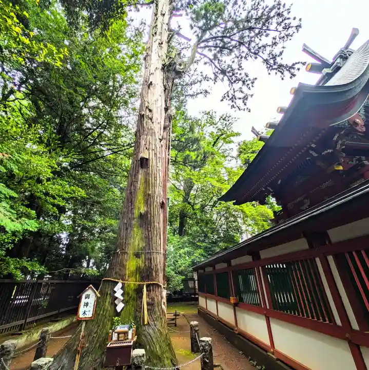 一言主神社(茨城県)