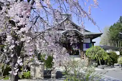 福傳寺(東京都)