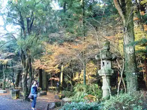 成田山新勝寺の自然
