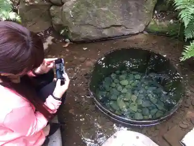 明治神宮のその他建物