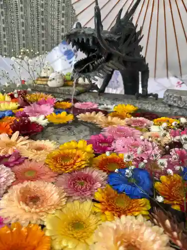 札幌諏訪神社の手水舎