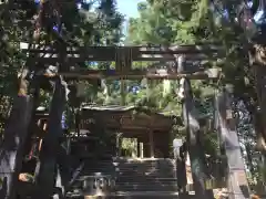 愛宕神社の鳥居