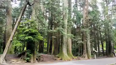 小國神社(静岡県)