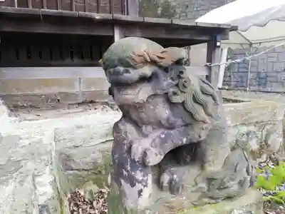 杉山社（帷子町杉山社・久保杉山神社）の狛犬