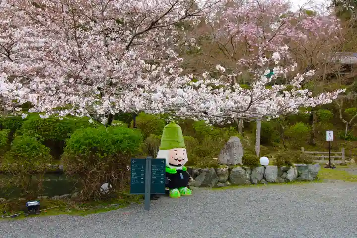 園城寺(三井寺)(滋賀県)