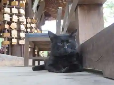 智恩寺(京都府)