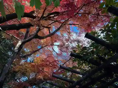詩仙堂（丈山寺）(京都府)