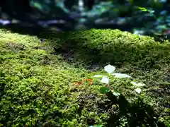 小菅神社奥社(長野県)