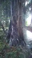 鹿島神社の建物その他