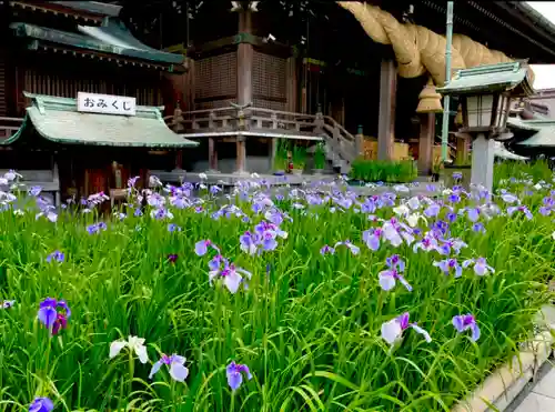 宮地嶽神社の自然