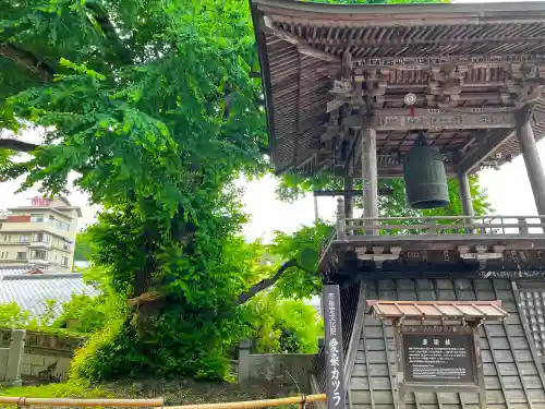 北向観音(長野県)