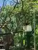 相馬神社(北海道)