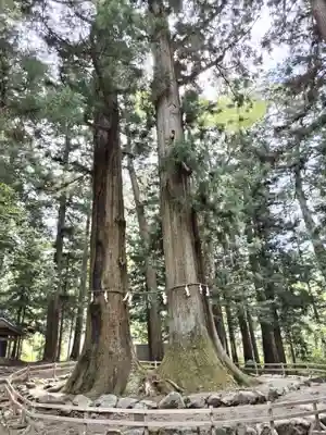 河口浅間神社(山梨県)