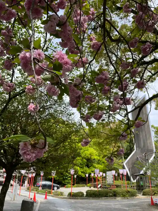石清水八幡宮(京都府)
