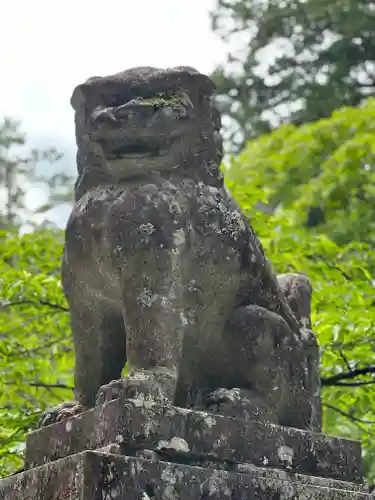 北口本宮冨士浅間神社の狛犬