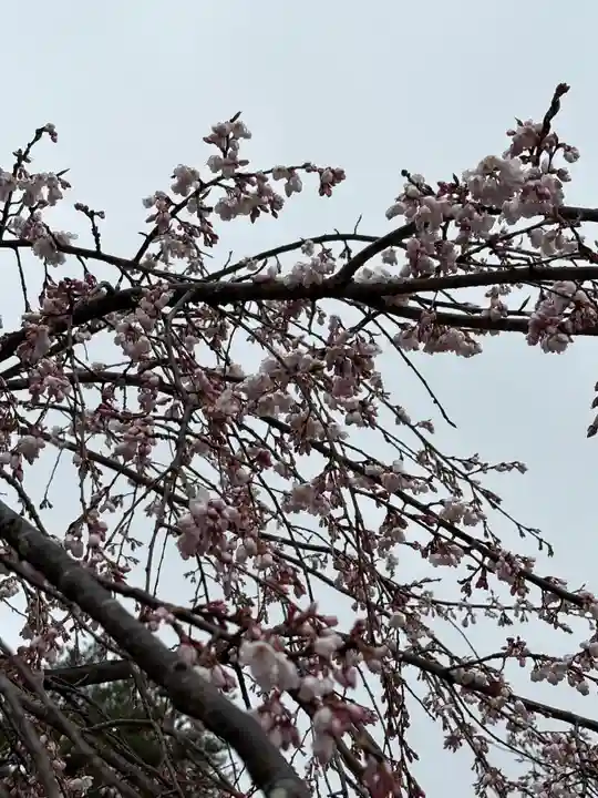 神明社(宮城県)