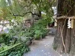 秩父神社(埼玉県)