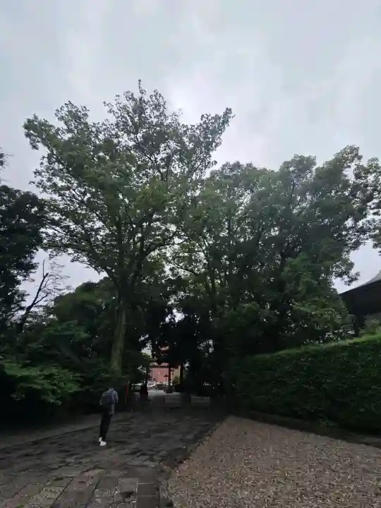 武蔵野八幡宮(東京都)