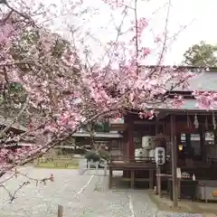 小御門神社の建物その他