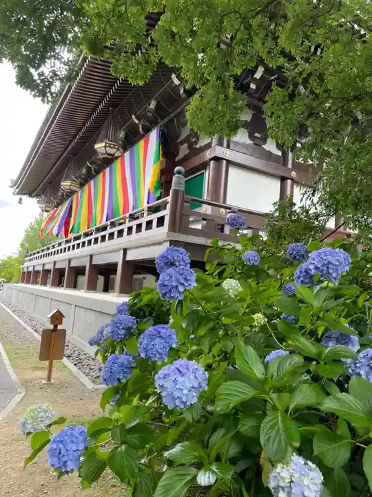 智積院(京都府)