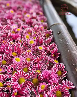 立志神社(滋賀県)