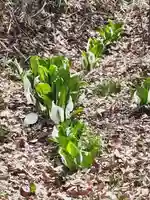 鹿島大神宮(福島県)