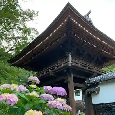 普門寺(切り絵御朱印発祥の寺)の山門・神門