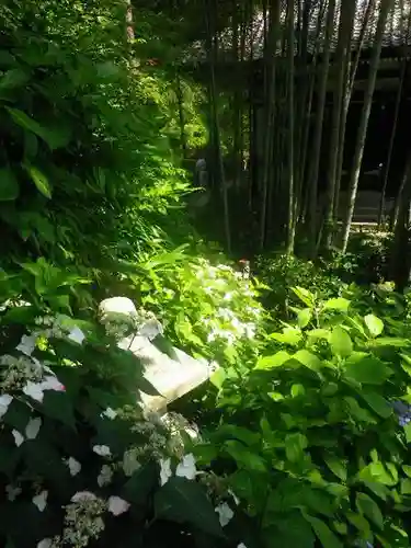 長谷寺のその他建物