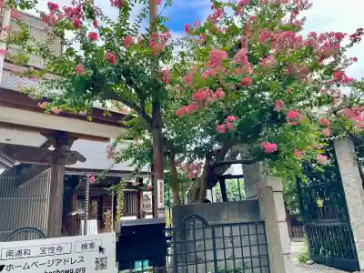 宝性寺(埼玉県)