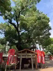 住吉大社の末社