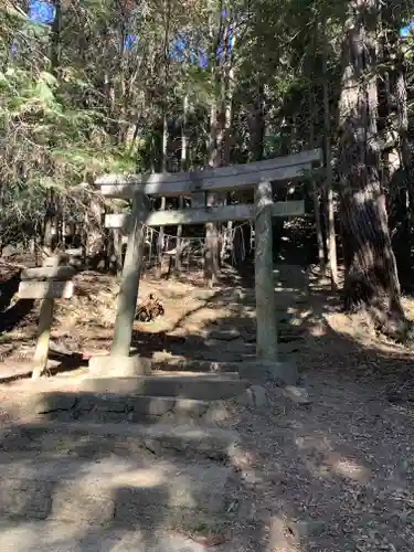 染谷佐志能神社の鳥居