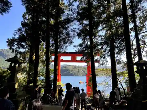 箱根神社の鳥居