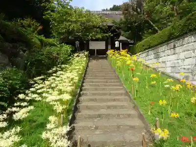 横浜 西方寺の山門・神門