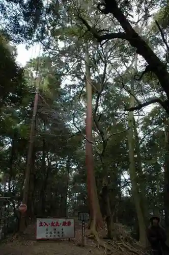 醍醐寺（上醍醐）の自然