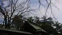 意富比神社の建物その他